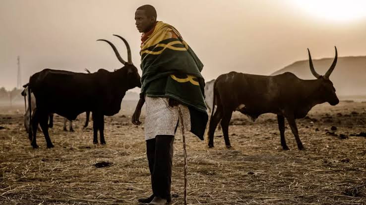 Borno seeks livestock investment at Qatar-Nigeria business forum